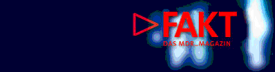FAKT-politisches Nachrichtenmagazin-LOGO